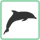 Dolphin Watching Tours