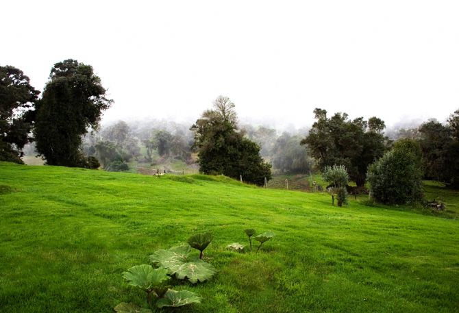 Hills at Turrialba Volcano National Park