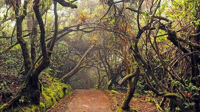 Hiking trail at Poás Volcano National Park