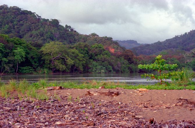 Estuary at Dominical Beach