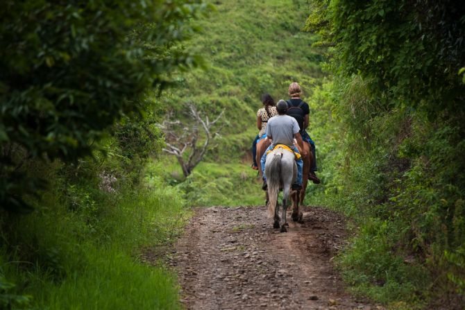 Horseback riding to Monteverde