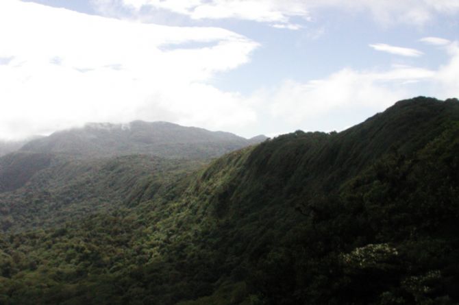 Looking over the canopy of Monteverde Cloudforest Reserve