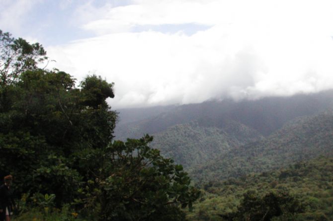 Monteverde Reserve Lookout