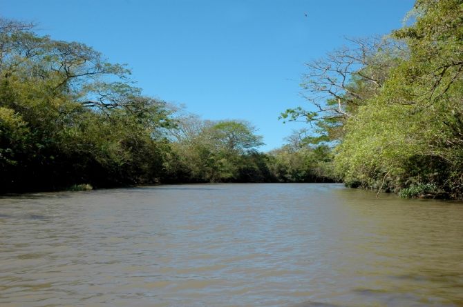 Tempisque River at Palo Verde National Park