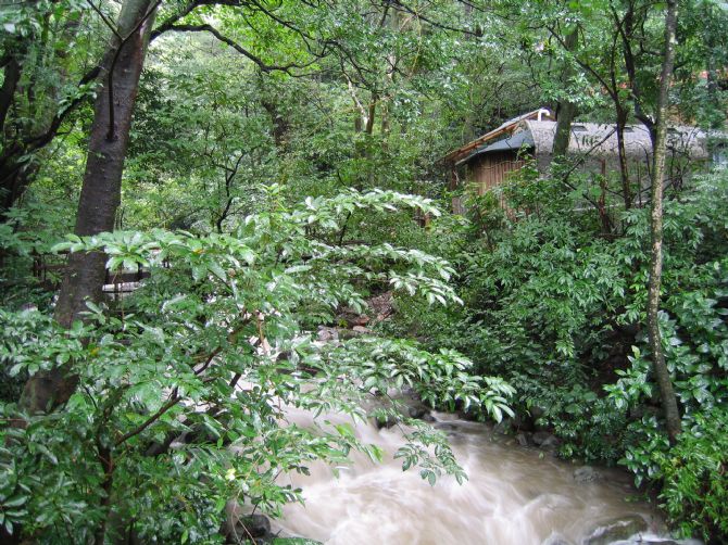 River at Rincon de la Vieja National Park