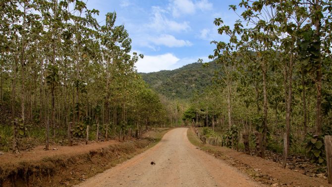 The Road to Santa Teresa, Costa Rica