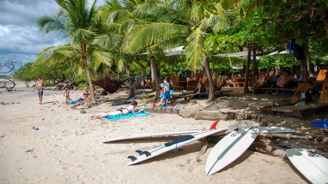 Surfboards lined up on the beach at Playa Avellana near Tamarindo