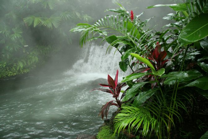 Hot Waterfall at Tabacon Hot Springs