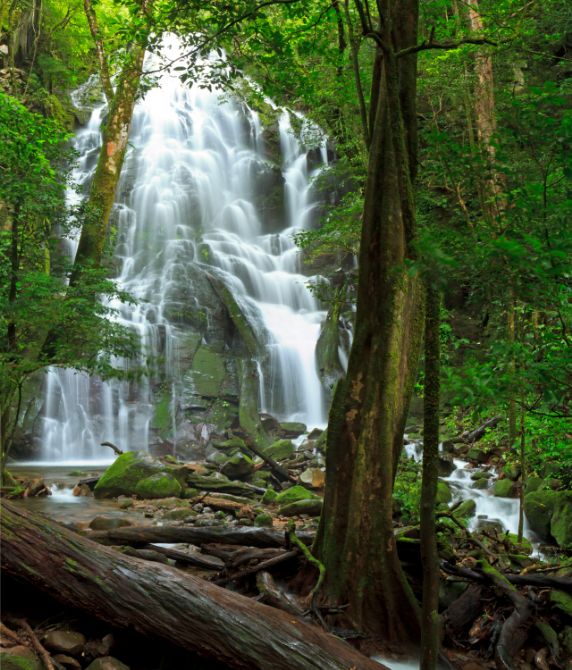 Waterfall inside Rincon de la Vieja National Park