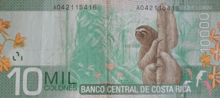 10 Thousand Colones - Back with Sloth in the Rain Forest