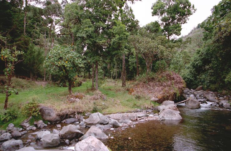 Remote river perfect for a swim