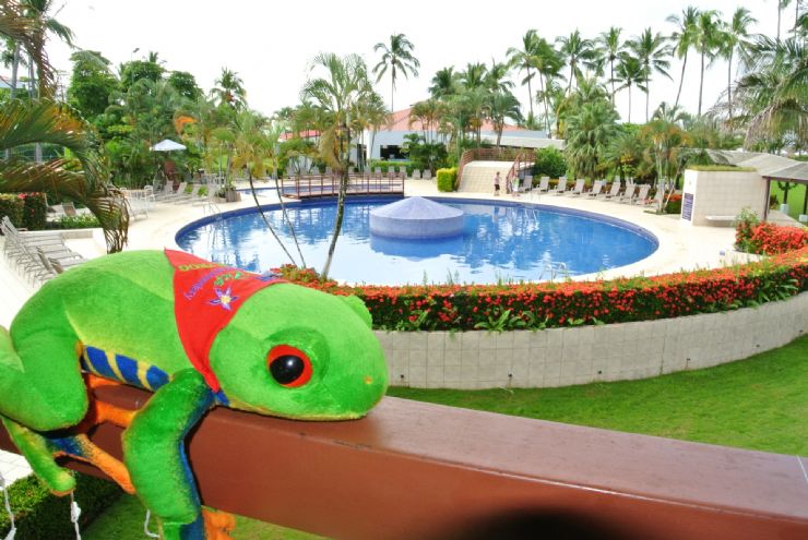 Javi the Frog at Best Western Jaco