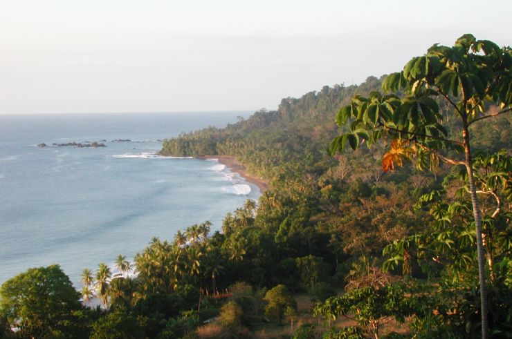 View from above Playa San Josecito, South Drake Bay