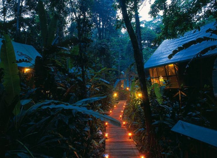Almonds and Corals Lodge in the middle of the rainforest at night