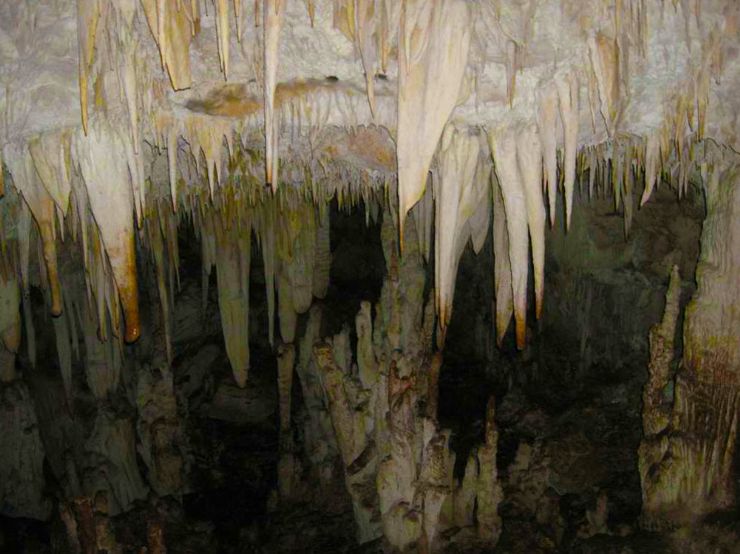 Stalactite in Barra Honda's caves