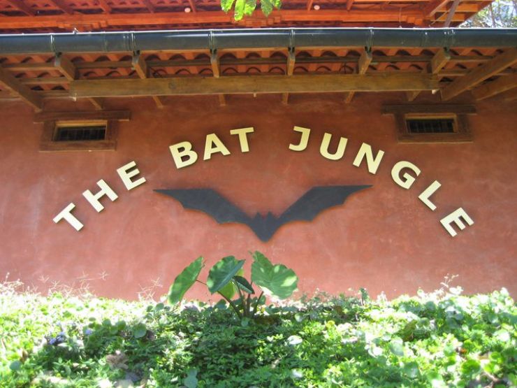 The Bat Jungle tour sign, Monteverde