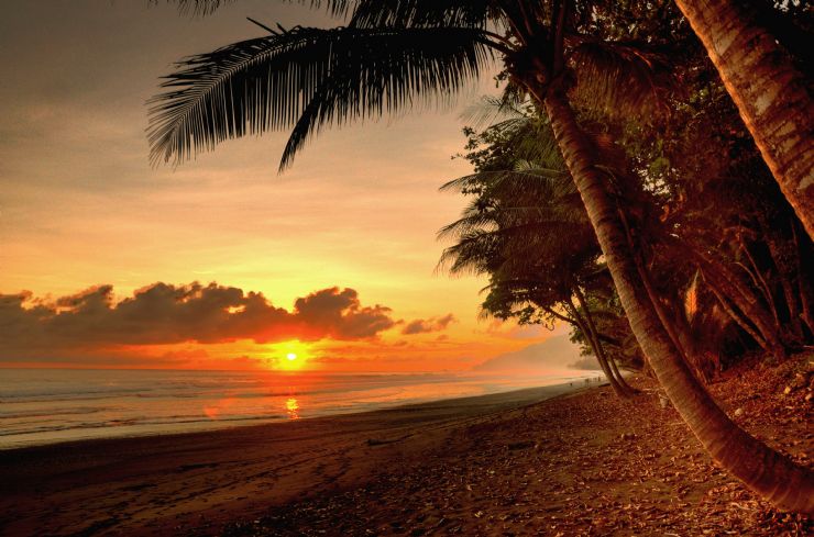 Beach Sunset at Corcovado Natl. Park