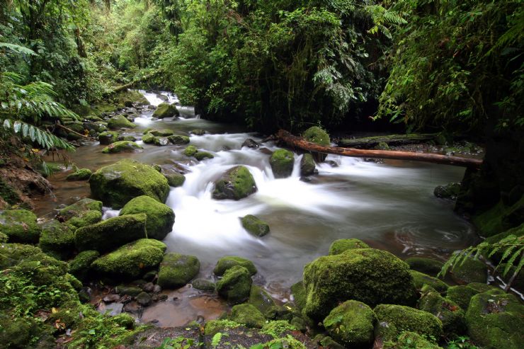 The calm waters of Tortuguero