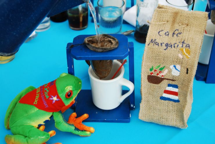 Javi the Frog brewing Cachi coffee
