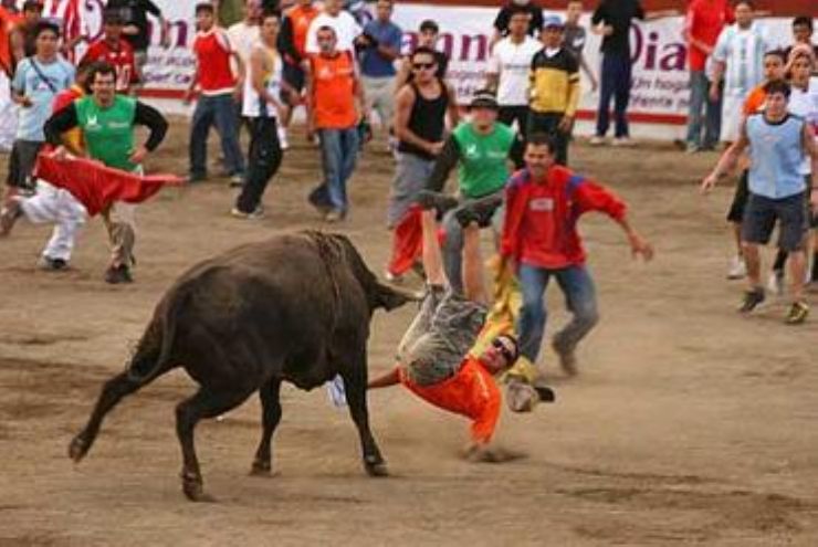 Bull parties in Zapote, San Jose