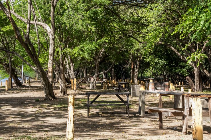 Camping / Picnic area at Playa Junquillal