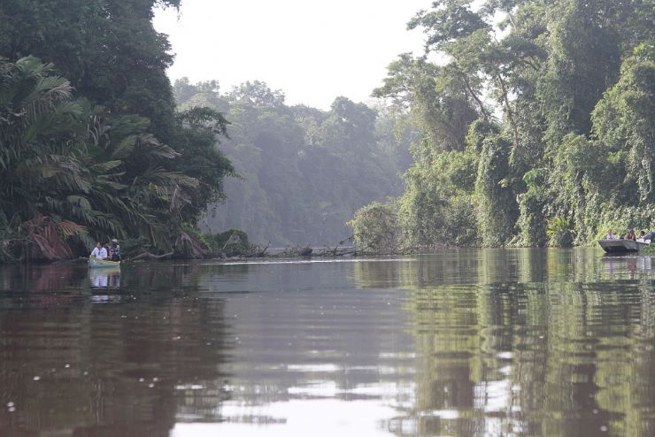 Canoeing Through Tortuguero National Park