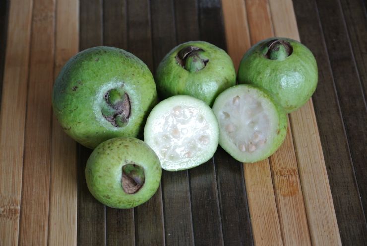 Cas or Costa Rican Guava fruit perfect for juicing