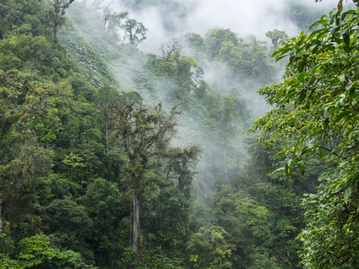 Clouds engulfing the Monteverde Cloud Forest