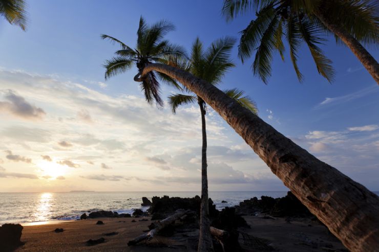 The breathtaking beach at Corcovado National Park