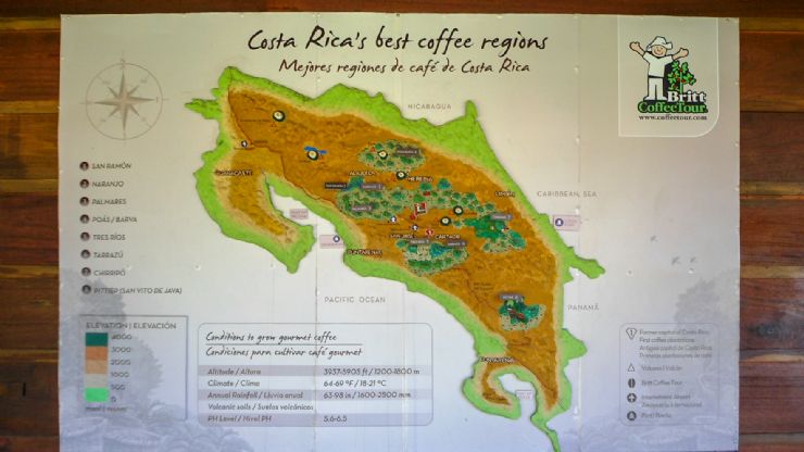 Best Coffee Regions of Costa Rica at Cafe Britt Coffee Tour