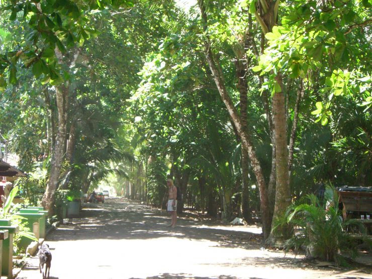 Dominical road next to Hatillo