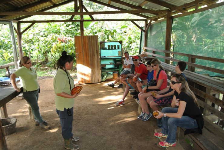 Guide explanation at cacao tour