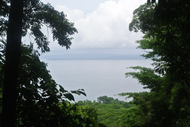 Amazing Gulf view from Hiking trail platform