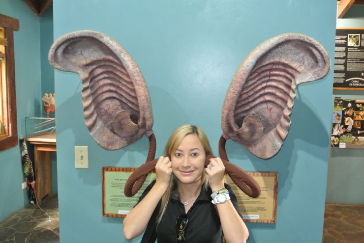 Tourist trying to hear as a Bat, Monteverde