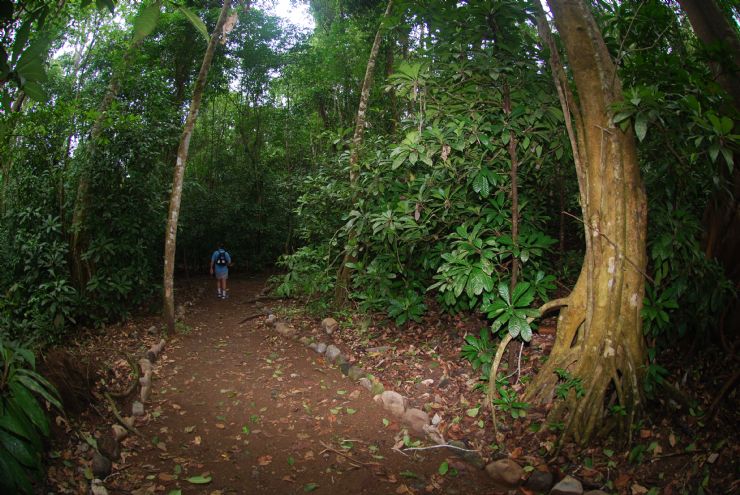 Hiking at Carara National Park