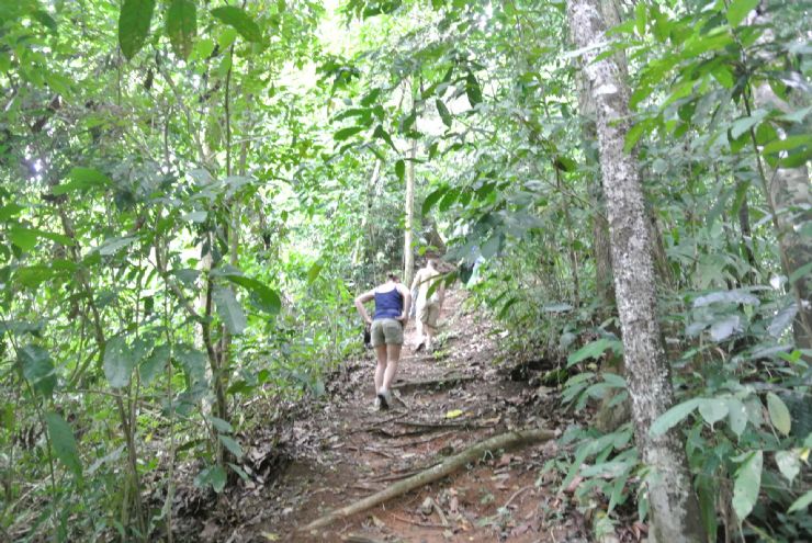 Hiking Trail The Loop at Playa Nicuesa Rainforest Lodge