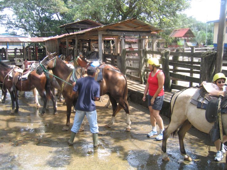 Horse stables at Adventure Tours