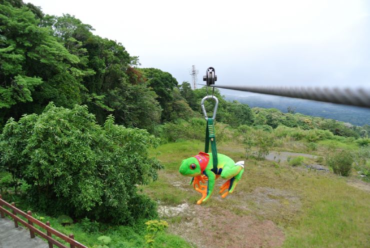 Javi the Frog doing canopy at Monteverde