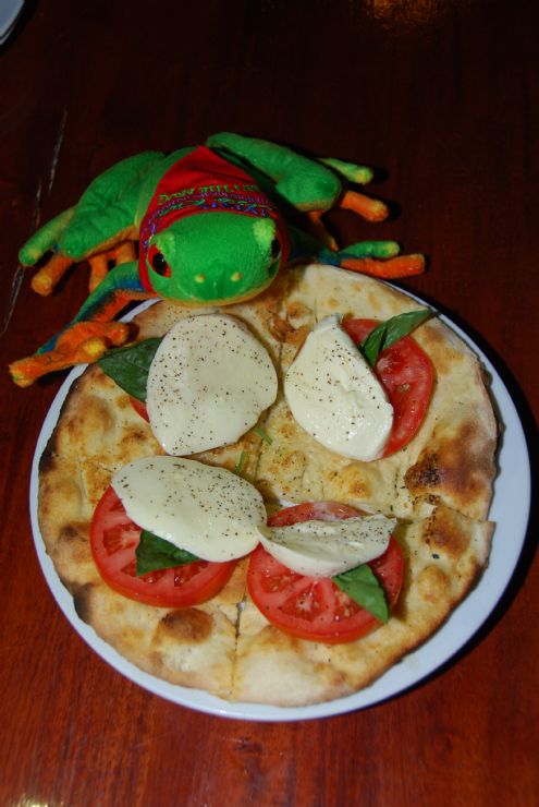 Javi the Frog having a delicious Focaccia Capresse at Arenal Volcano Inn restaurant