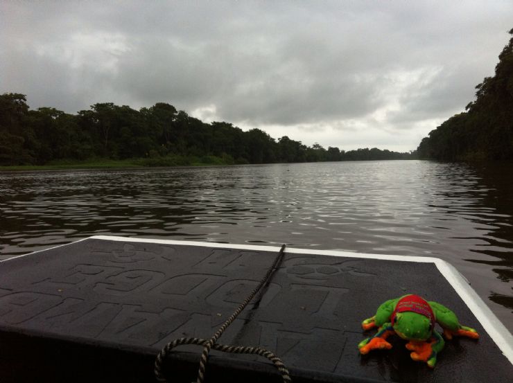 Javi the Frog sailing on Tortuguero