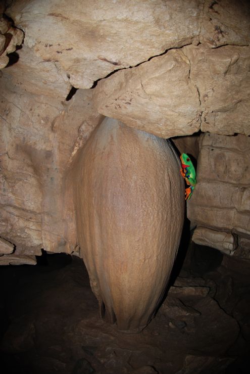 Javi the Frog in La Papaya, stalactites and stalagmites formation