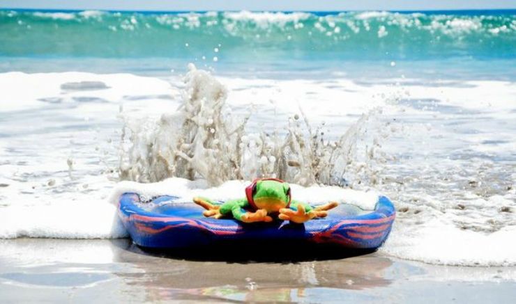 Javi the Frog on a boogie board at Flamingo Beach, Guanacaste