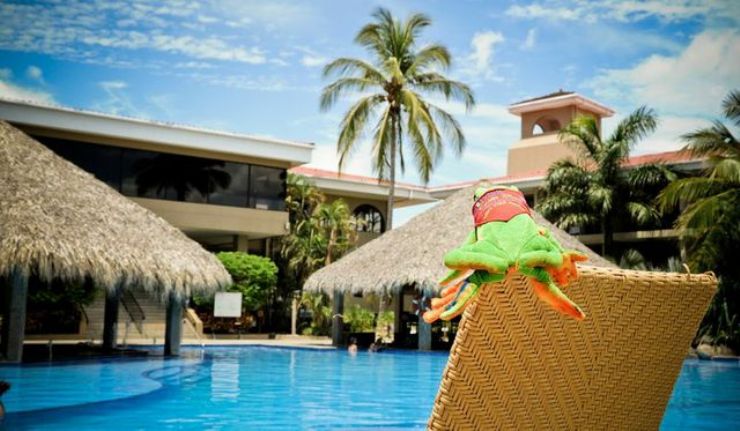 Javi the Frog relaxing on Flamingo Beach Resort pool