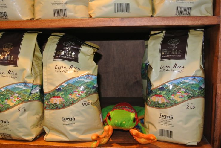 Javi the Frog shopping Britt Coffee bags 