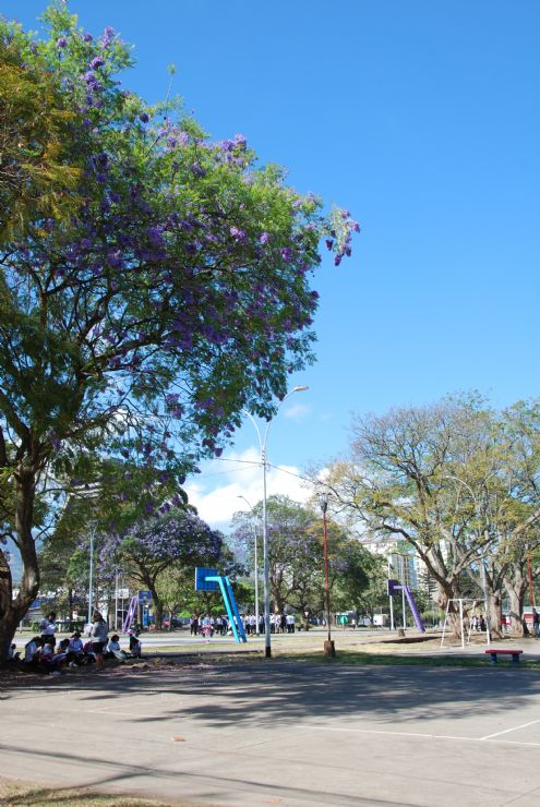 Kids enjoying La Sabana Park in San Jose