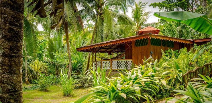 Jungle Bunglow at La Costa de Papito