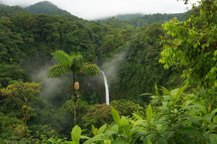 La Fortuna Waterfall surrounded by forest