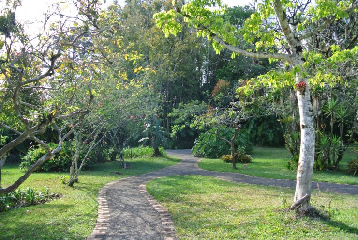 Trails at Lankester Botanical Gardens in Paraiso, Cartago