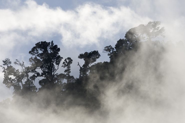 Very low clouds on Santa Elena Cloud Forest Reserve