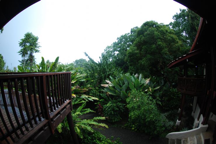 The main lodge at Playa Nicuesa Rainforest Lodge